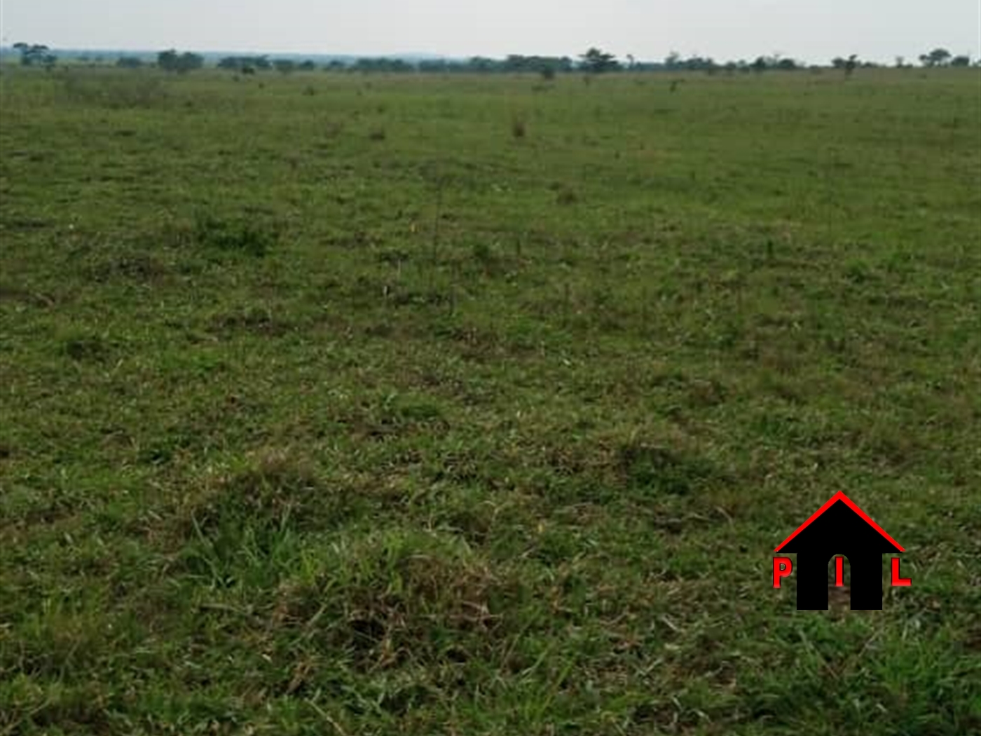 Agricultural Land for sale in Kakooge Nakasongola