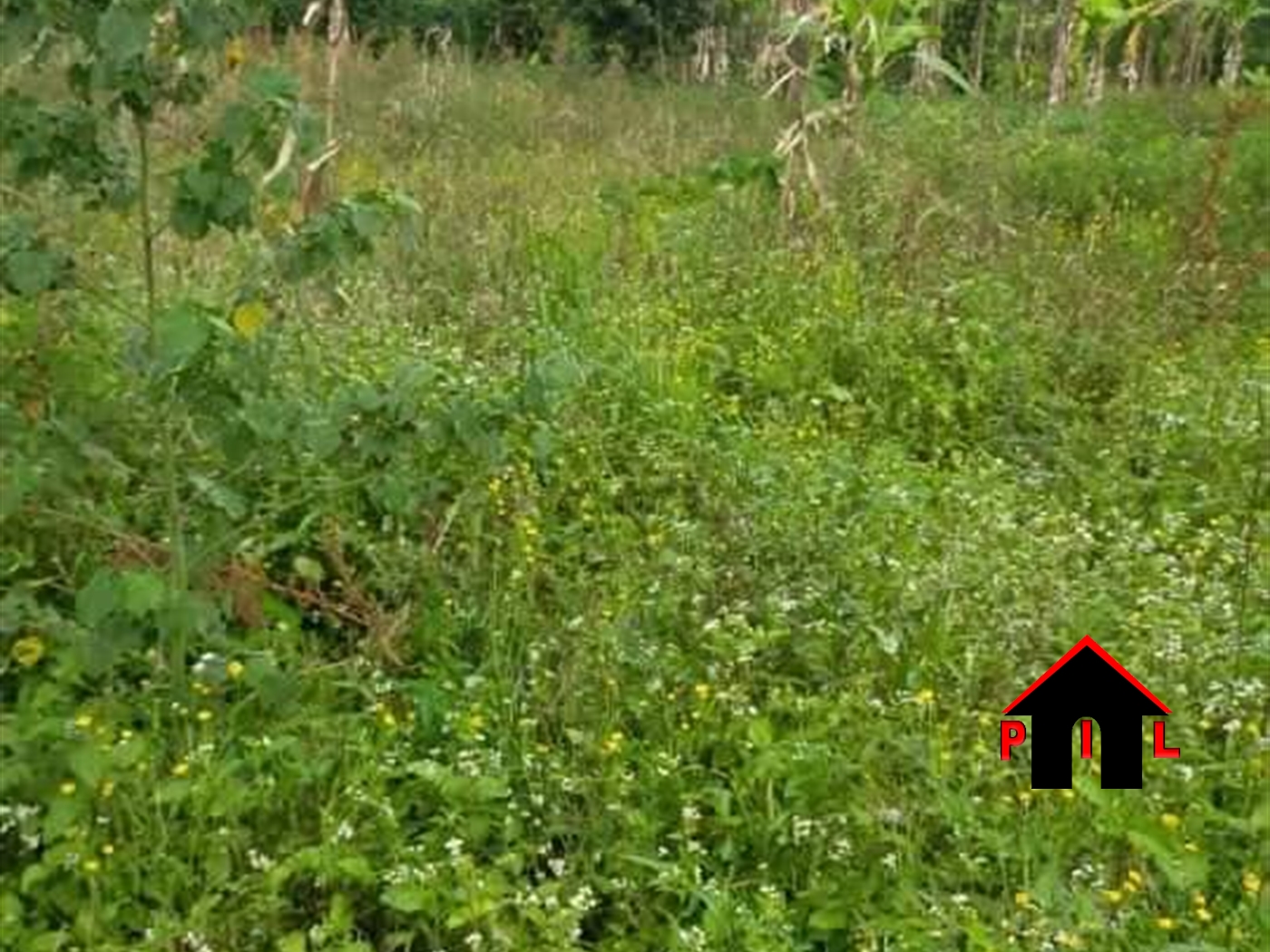 Residential Land for sale in Matugga Wakiso