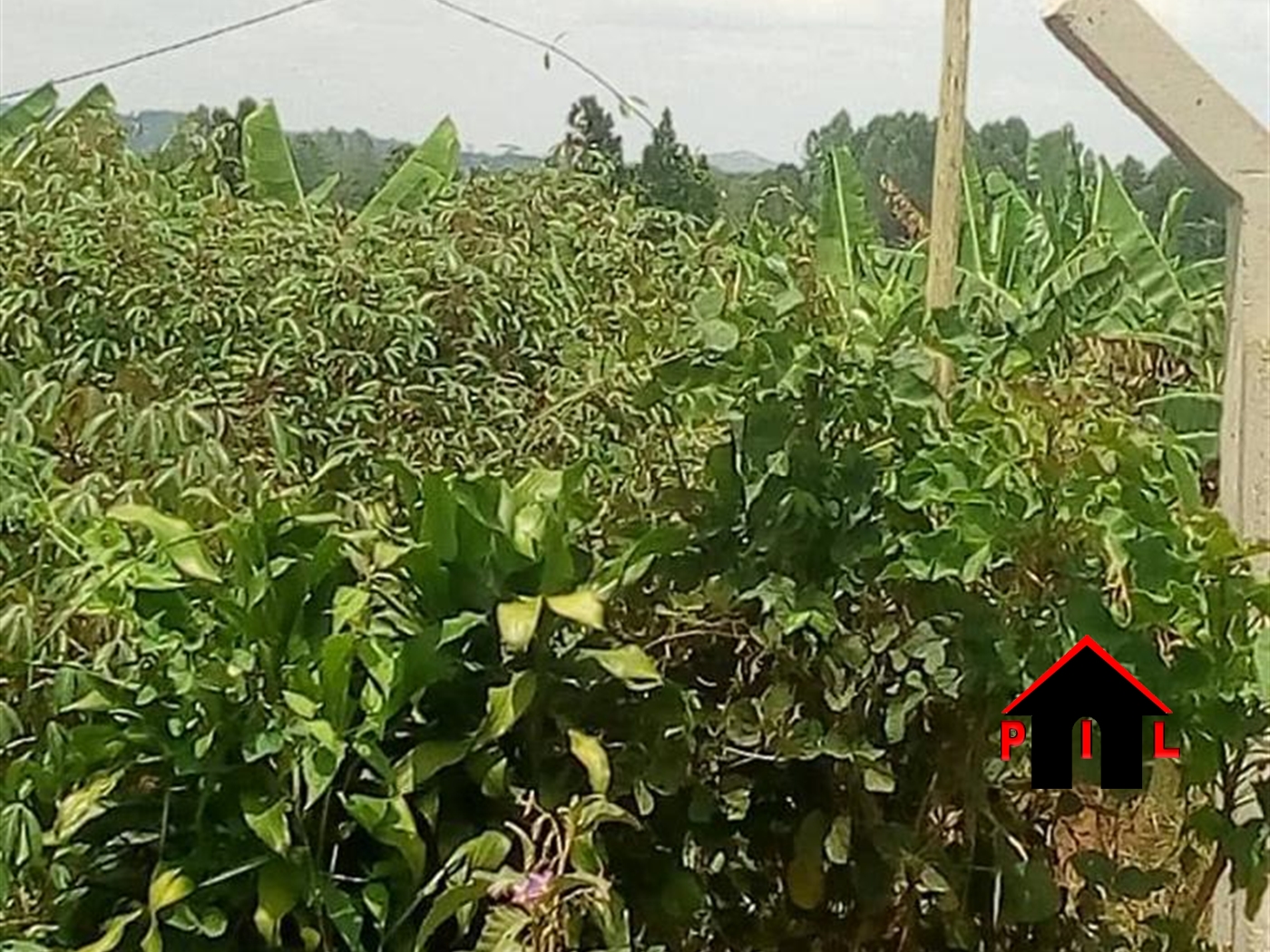 Residential Land for sale in Matugga Wakiso