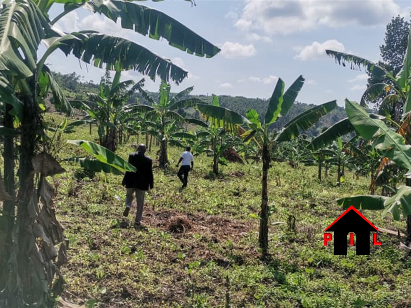 Agricultural Land for sale in Busunjju Mityana