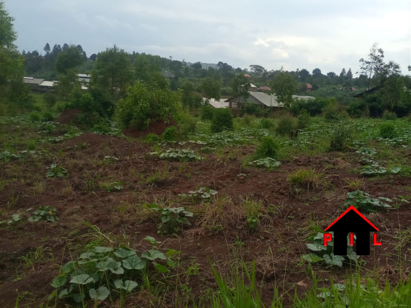 Commercial Land for sale in Lugazi Buyikwe