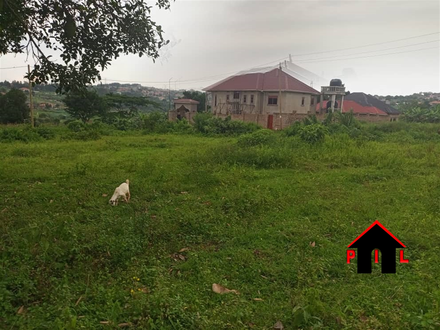 Residential Land for sale in Nabusigwe Wakiso