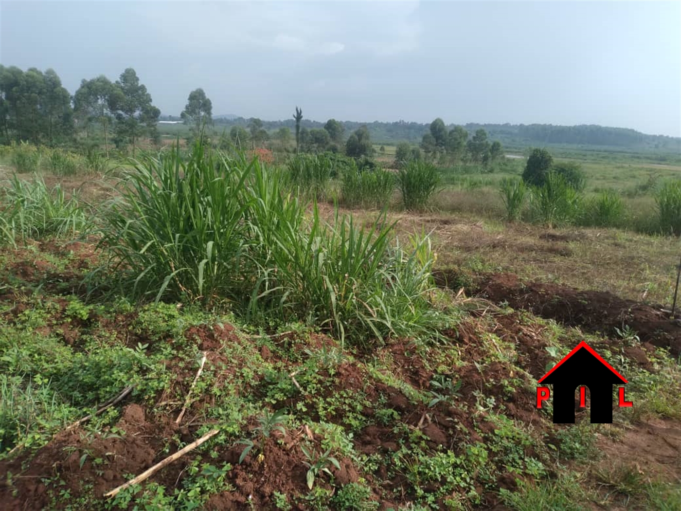 Commercial Land for sale in Busiika Wakiso