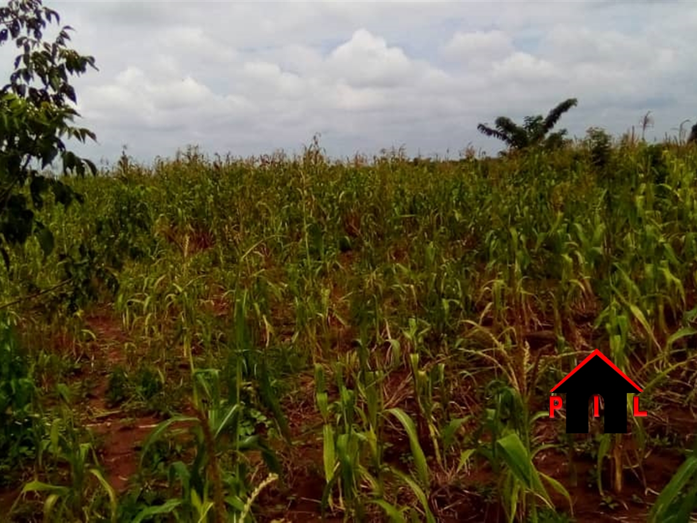 Residential Land for sale in Busiika Wakiso