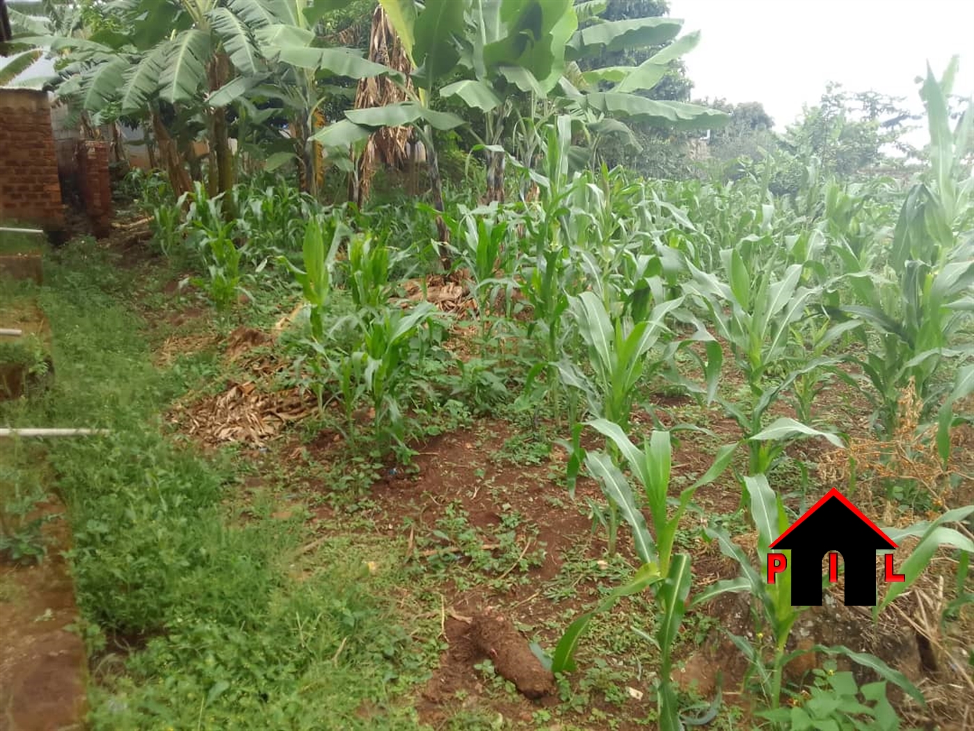 Residential Land for sale in Kitiko Wakiso