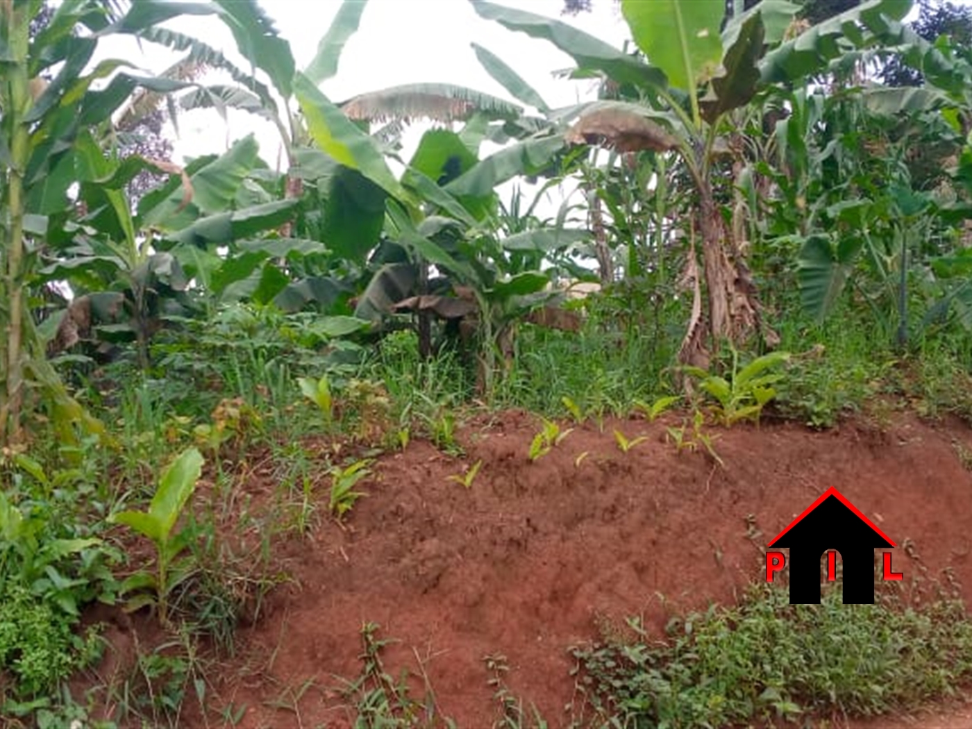 Residential Land for sale in Matugga Wakiso