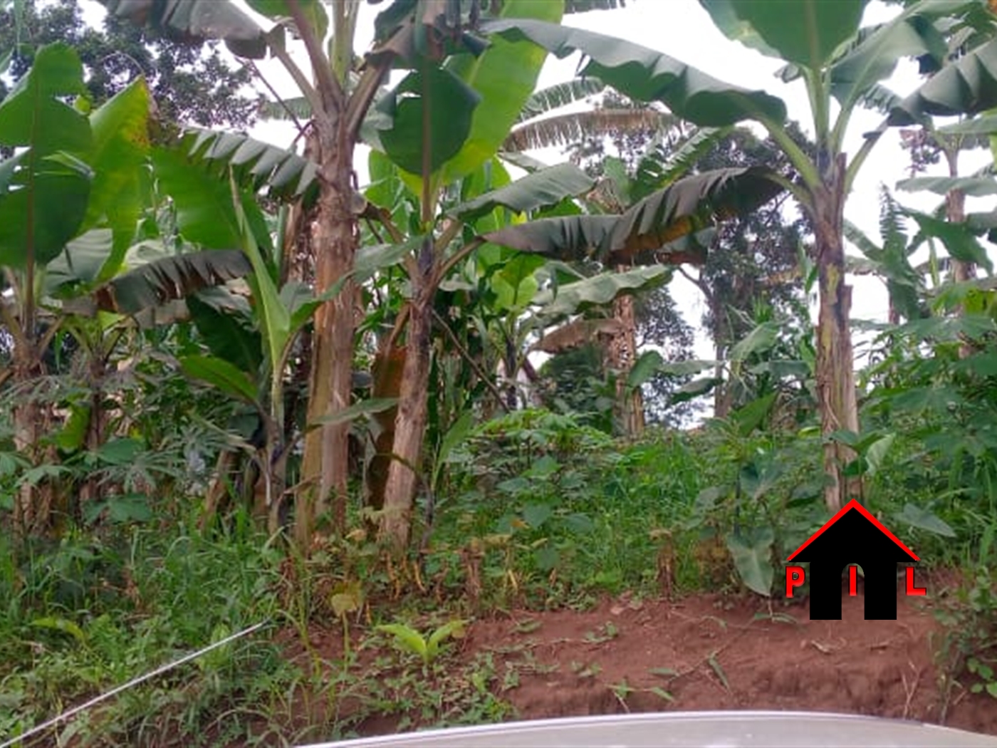 Residential Land for sale in Matugga Wakiso