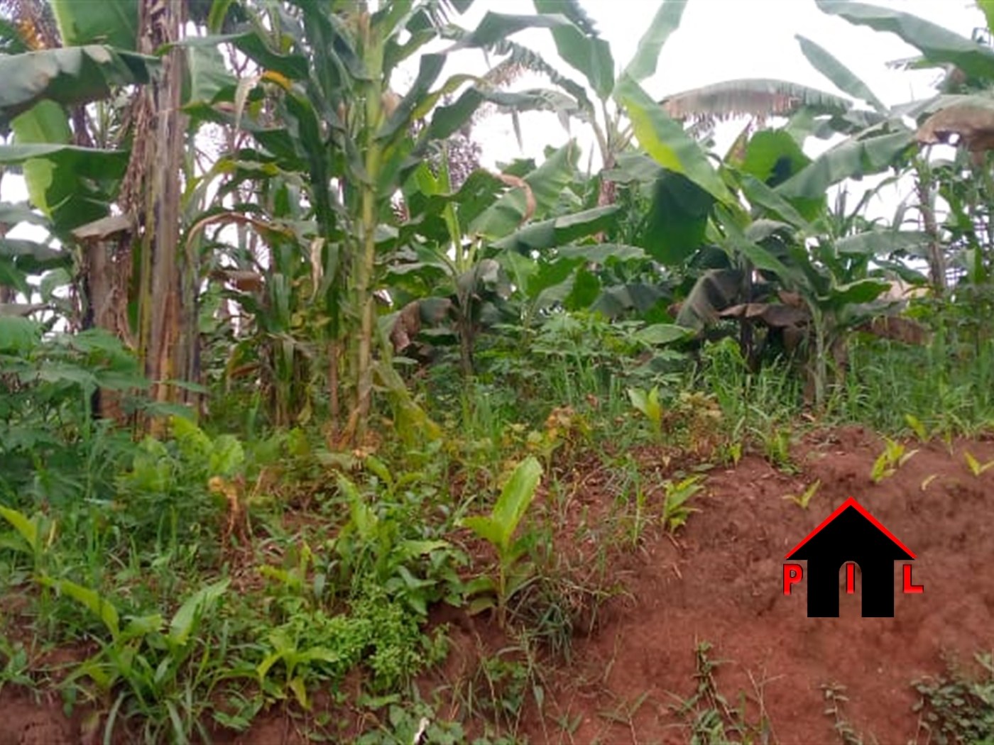 Residential Land for sale in Matugga Wakiso