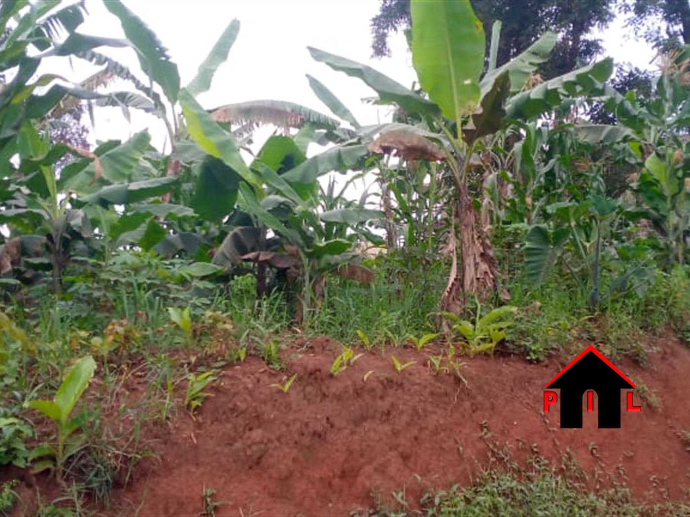 Residential Land for sale in Matugga Wakiso