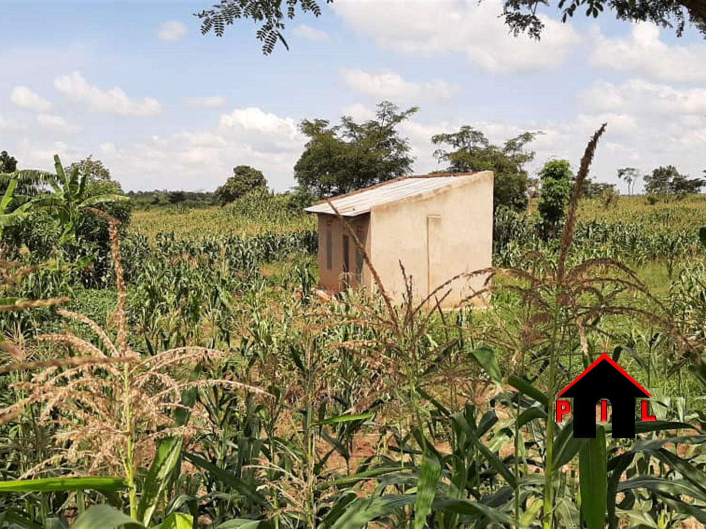 Agricultural Land for sale in Kakooge Nakasongola