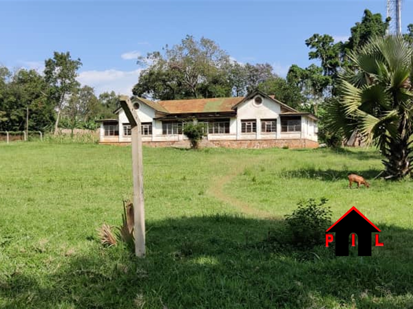 Commercial Land for sale in Njeru Jinja