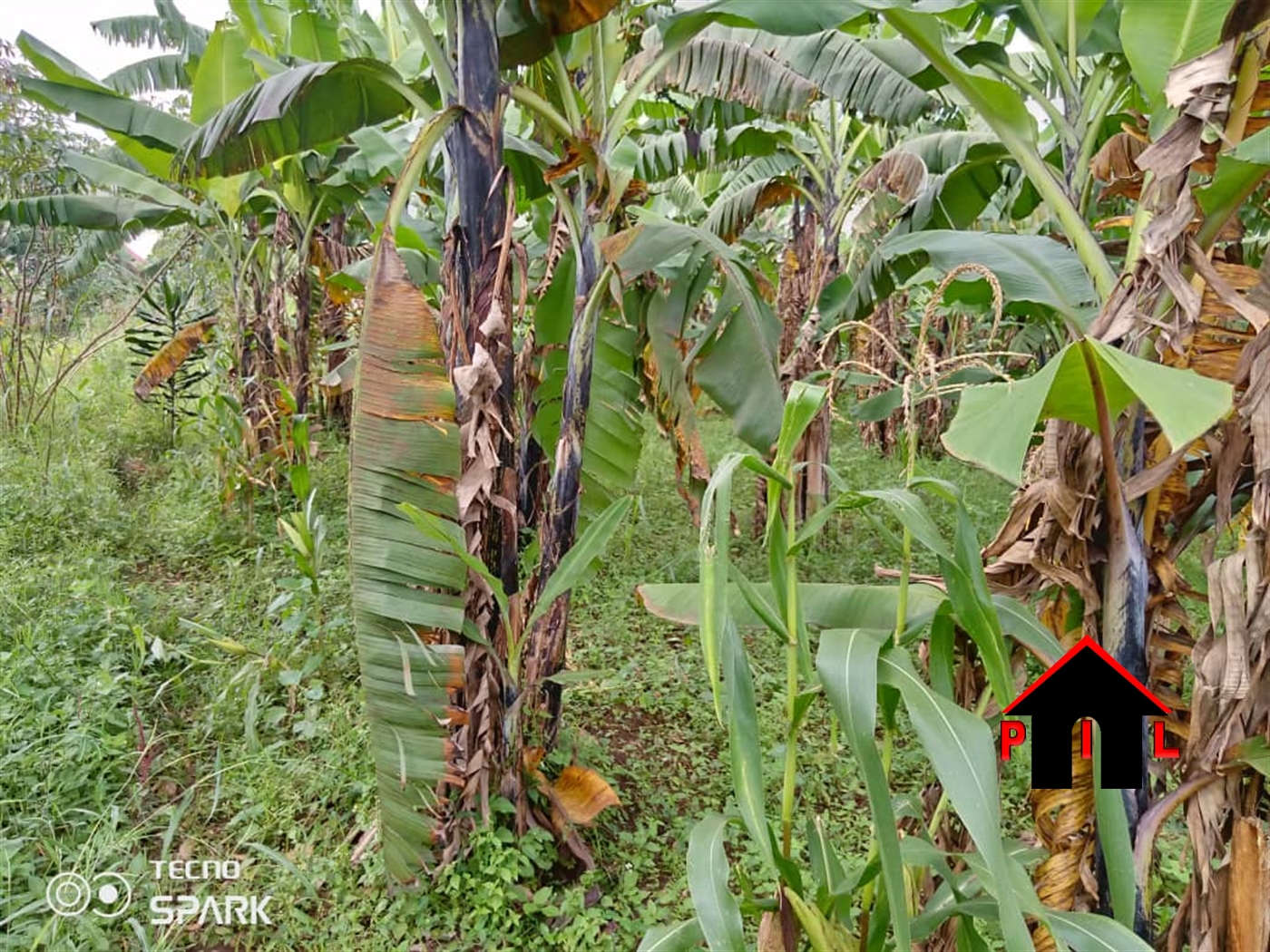 Residential Land for sale in Wattuba Wakiso