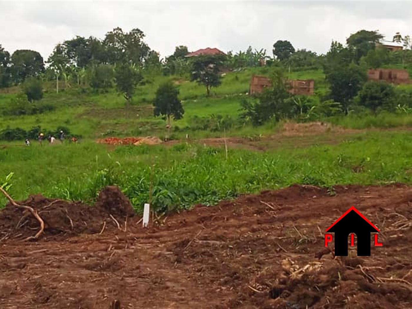 Residential Land for sale in Kakiri Wakiso