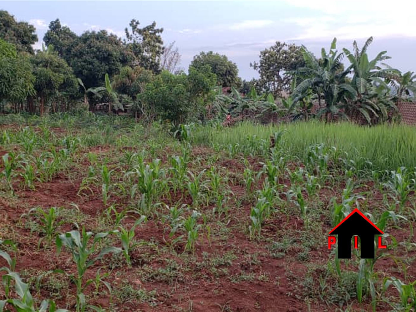 Residential Land for sale in Garuga Wakiso