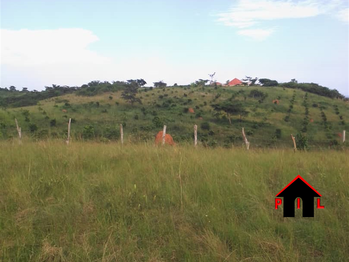 Commercial Land for sale in Lukaya Kalungu