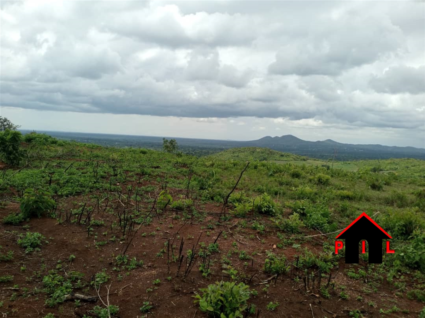 Commercial Land for sale in Vvumba Luweero