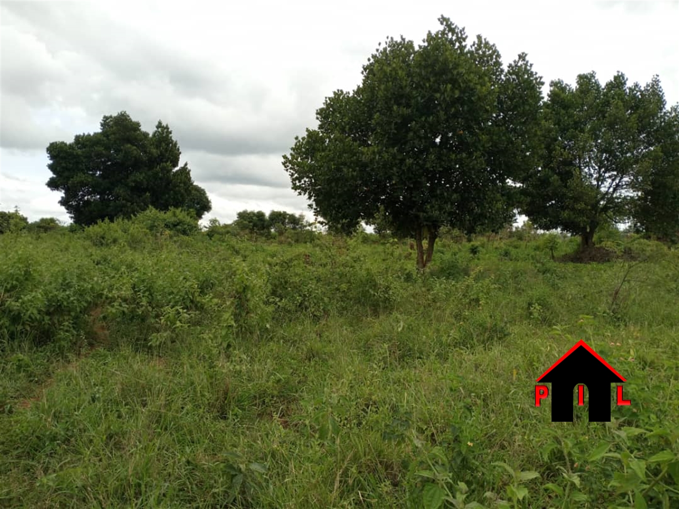 Residential Land for sale in Busukuma Wakiso