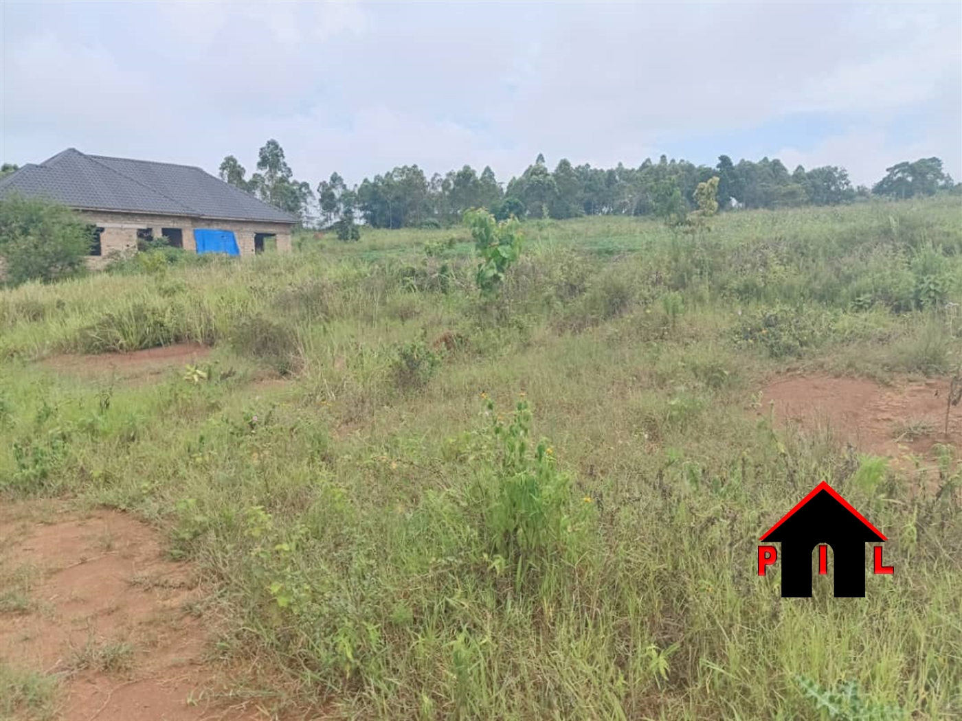 Commercial Land for sale in Nakisunga Mukono