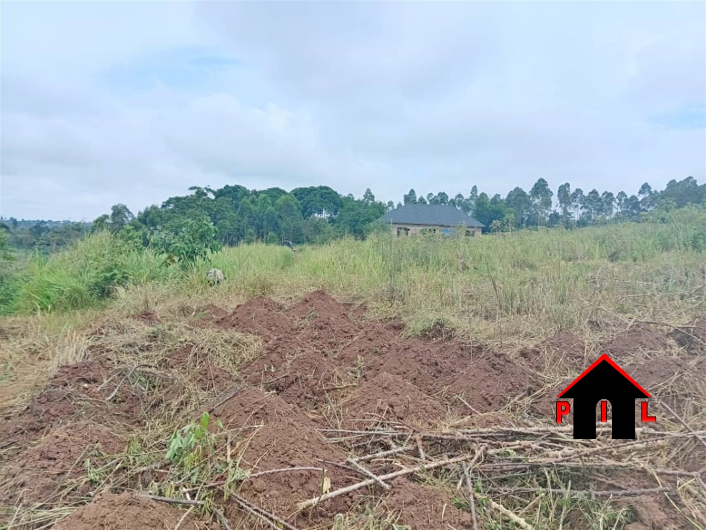 Commercial Land for sale in Nakisunga Mukono