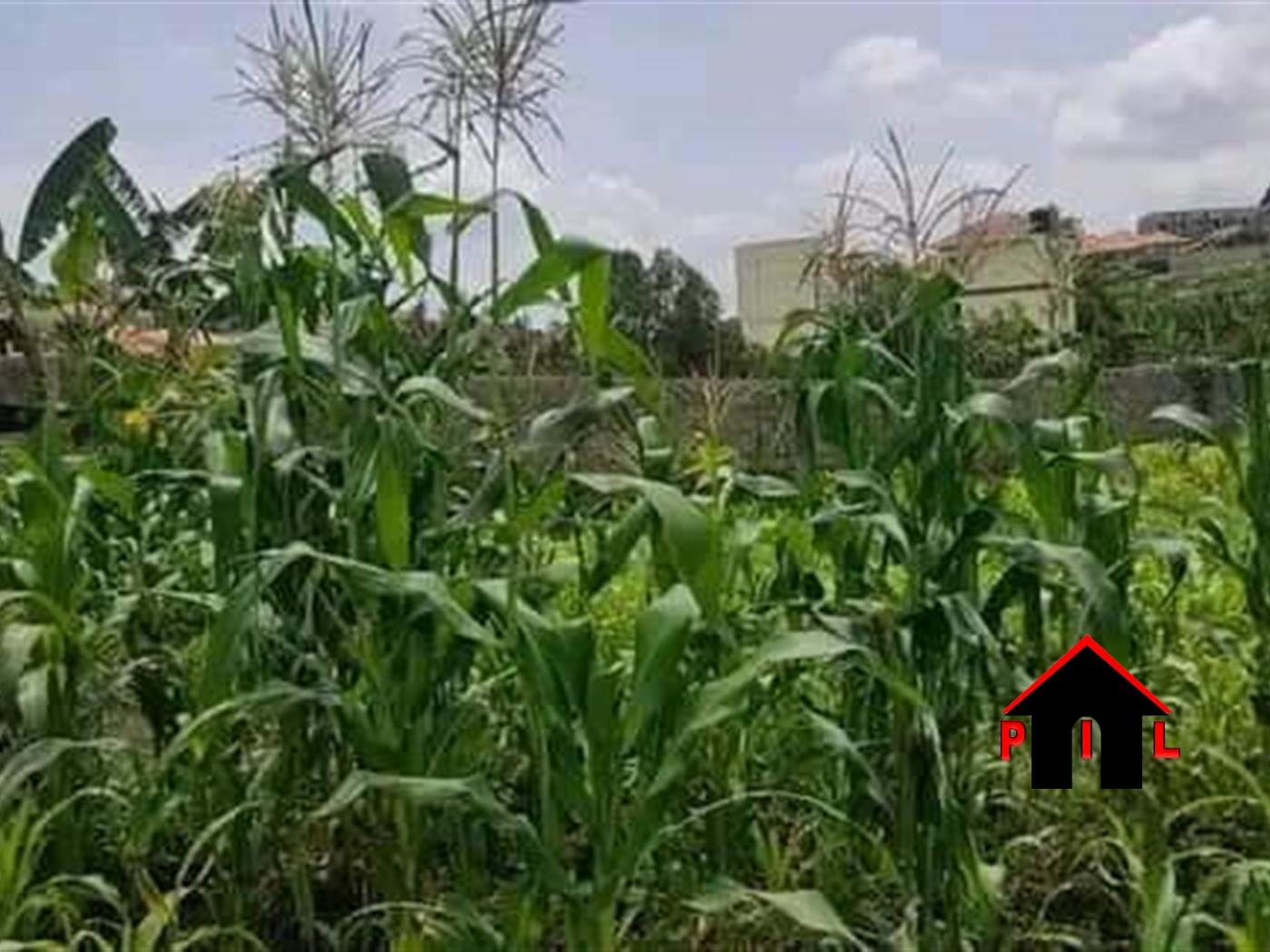 Residential Land for sale in Kiwanga Mukono