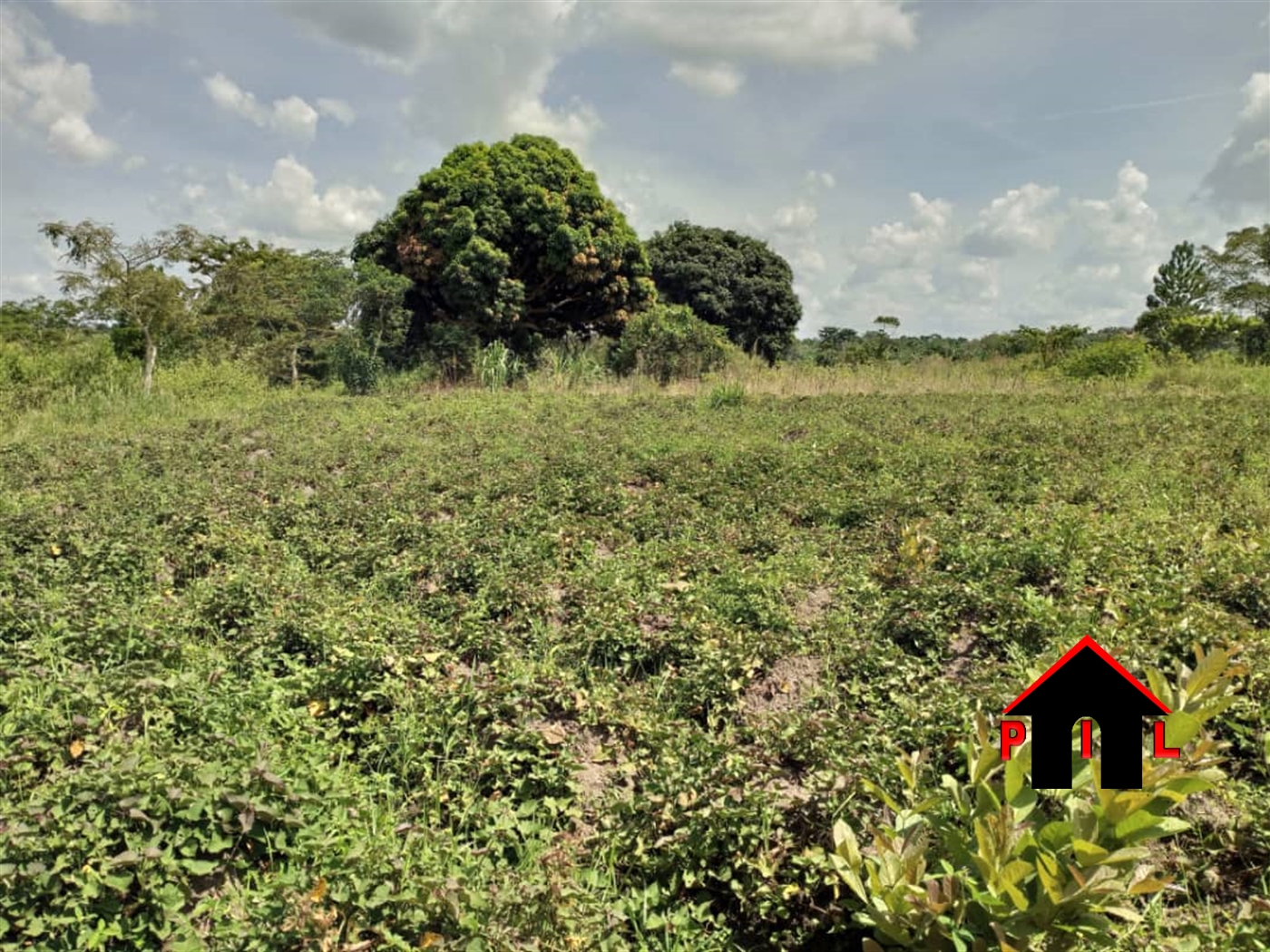 Agricultural Land for sale in Kikyuusa Luweero