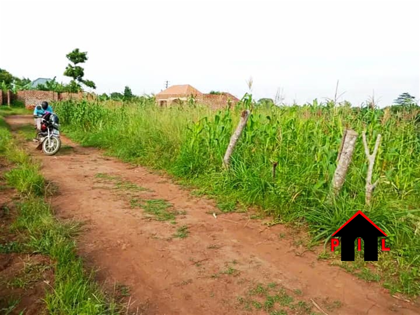 Residential Land for sale in Bugema Luweero