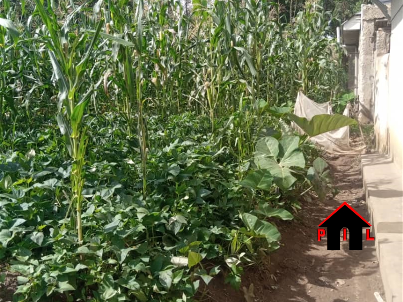 Commercial Land for sale in Kirinya Wakiso