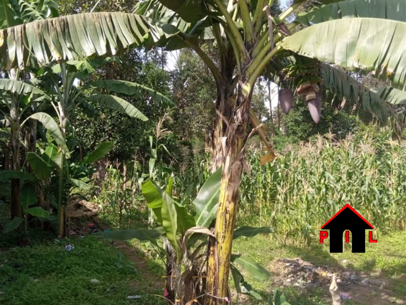 Commercial Land for sale in Kirinya Wakiso