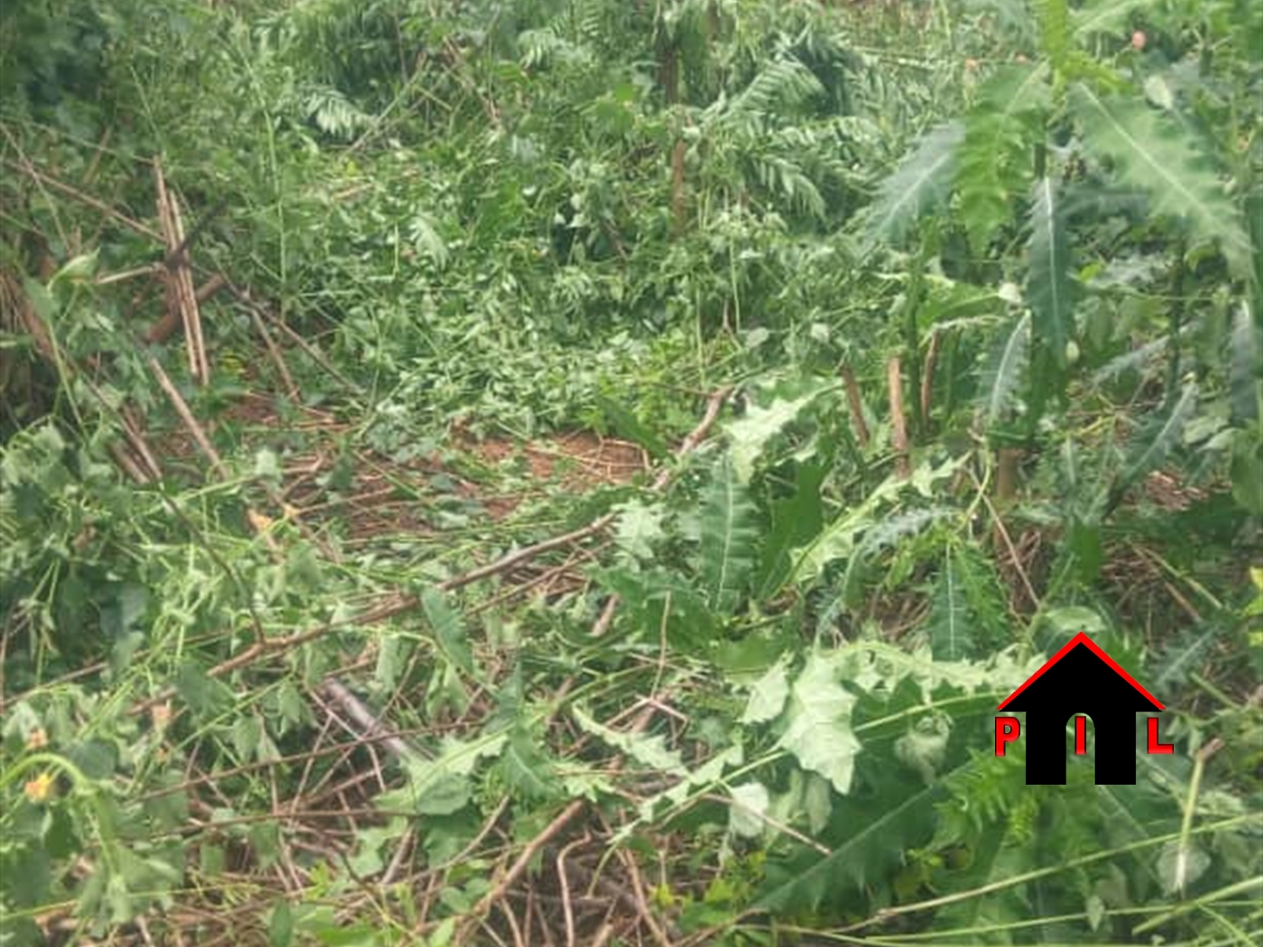 Residential Land for sale in Kira Wakiso