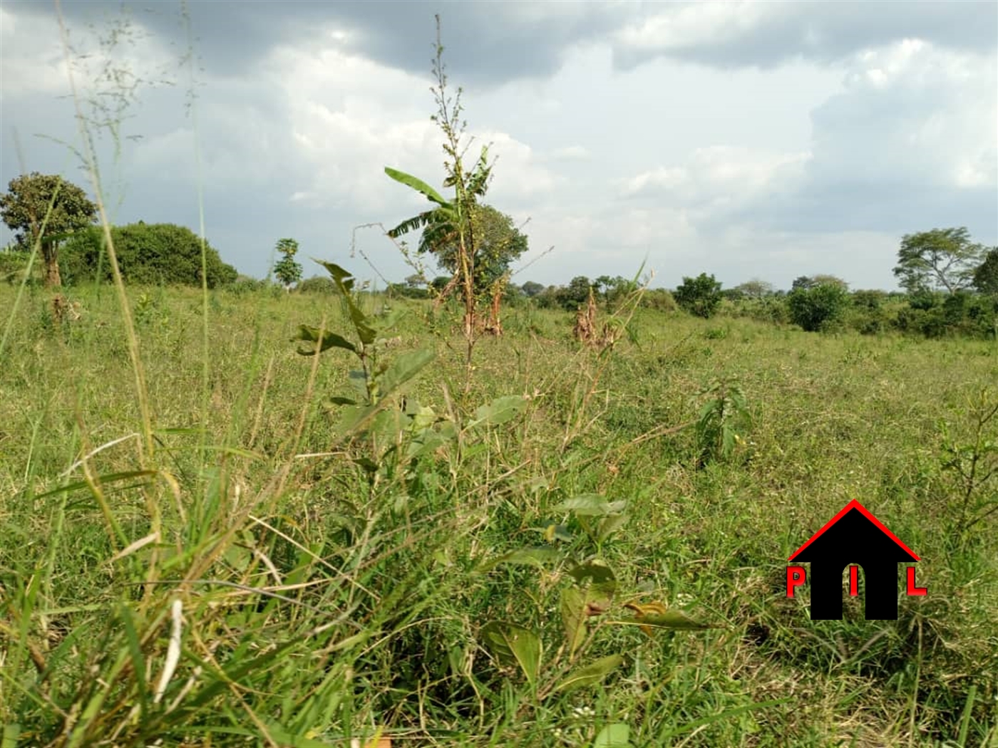 Agricultural Land for sale in Kikyuusa Luweero