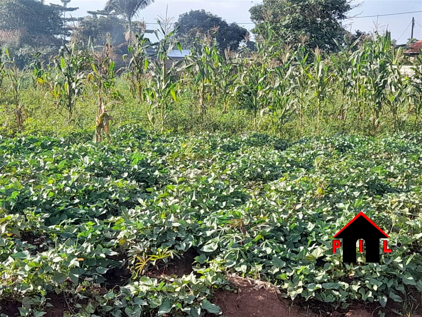 Residential Land for sale in Kira Wakiso