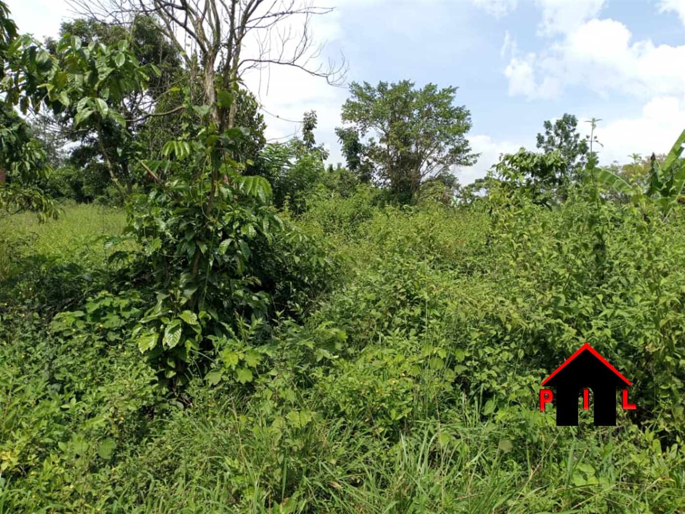 Agricultural Land for sale in Kikyuusa Luweero