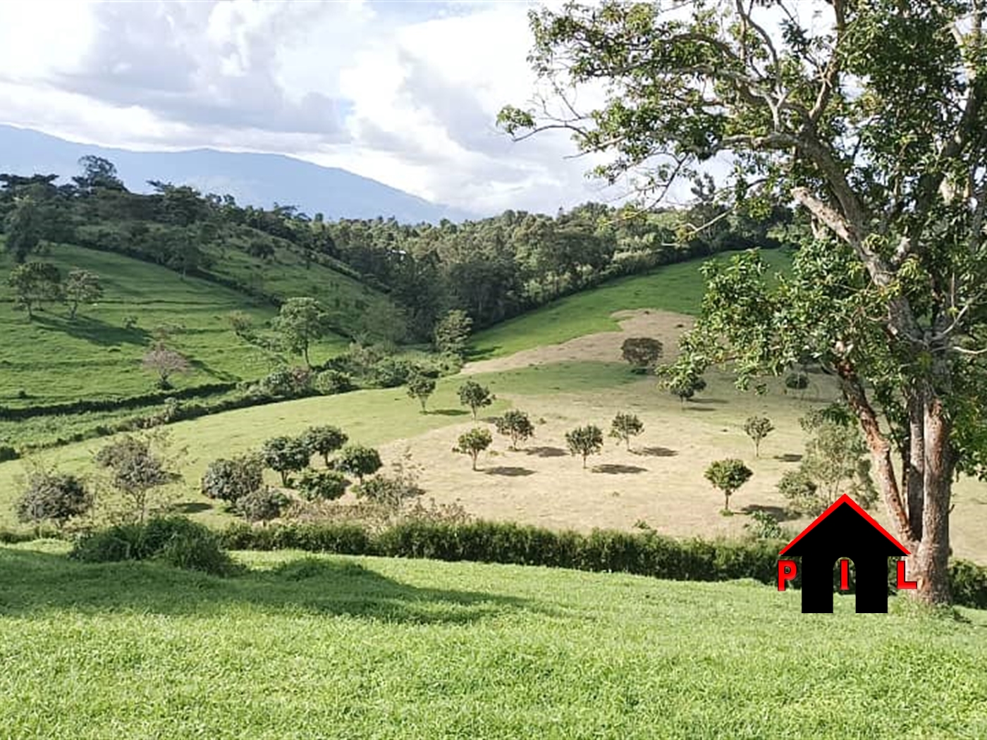 Farm for sale in Buheesi Kabarole