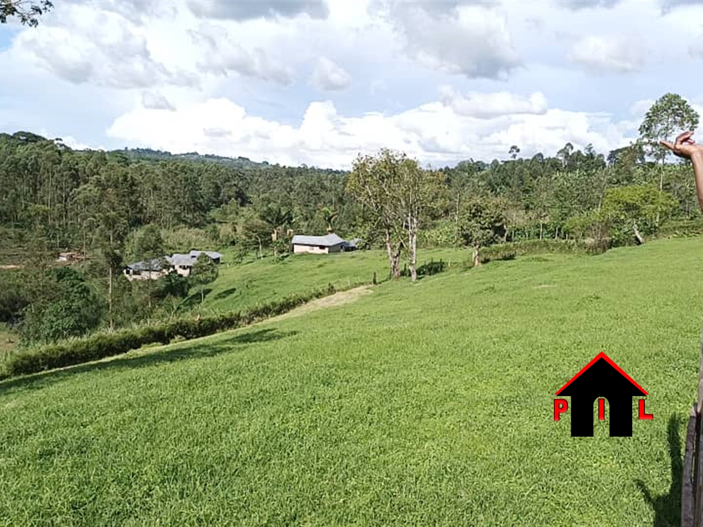 Farm for sale in Buheesi Kabarole