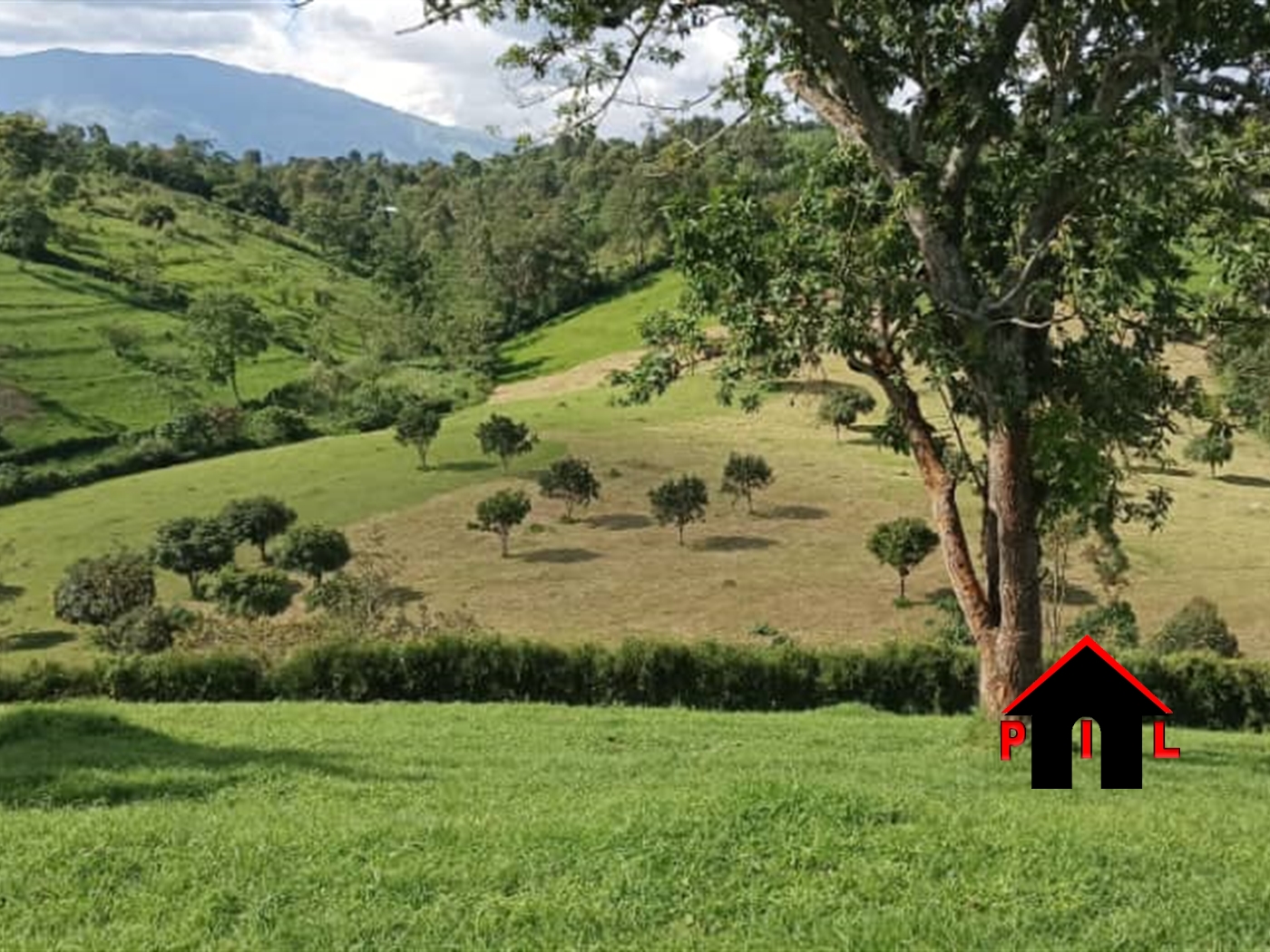 Farm for sale in Buheesi Kabarole