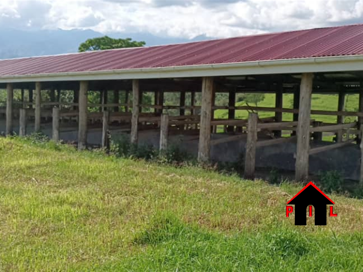 Farm for sale in Buheesi Kabarole