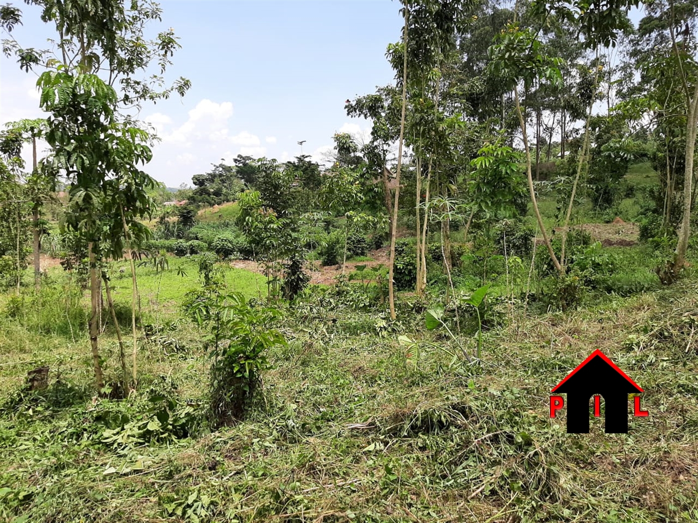 Commercial Land for sale in Namawojjolo Mukono