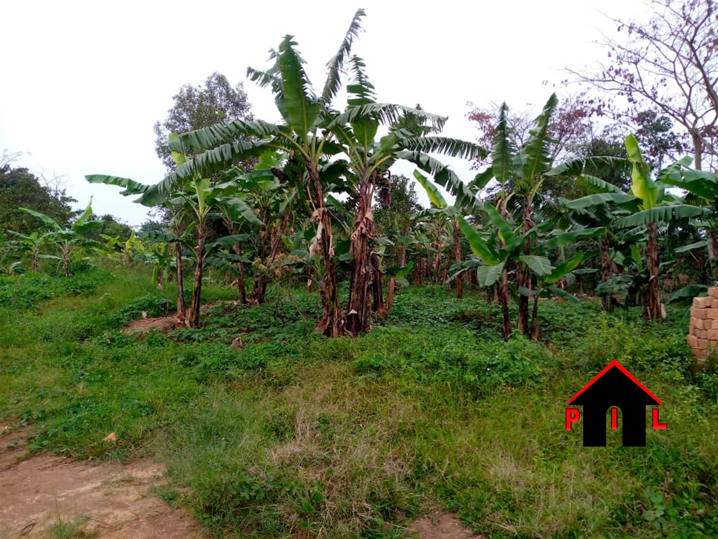 Residential Land for sale in Namugongo Wakiso