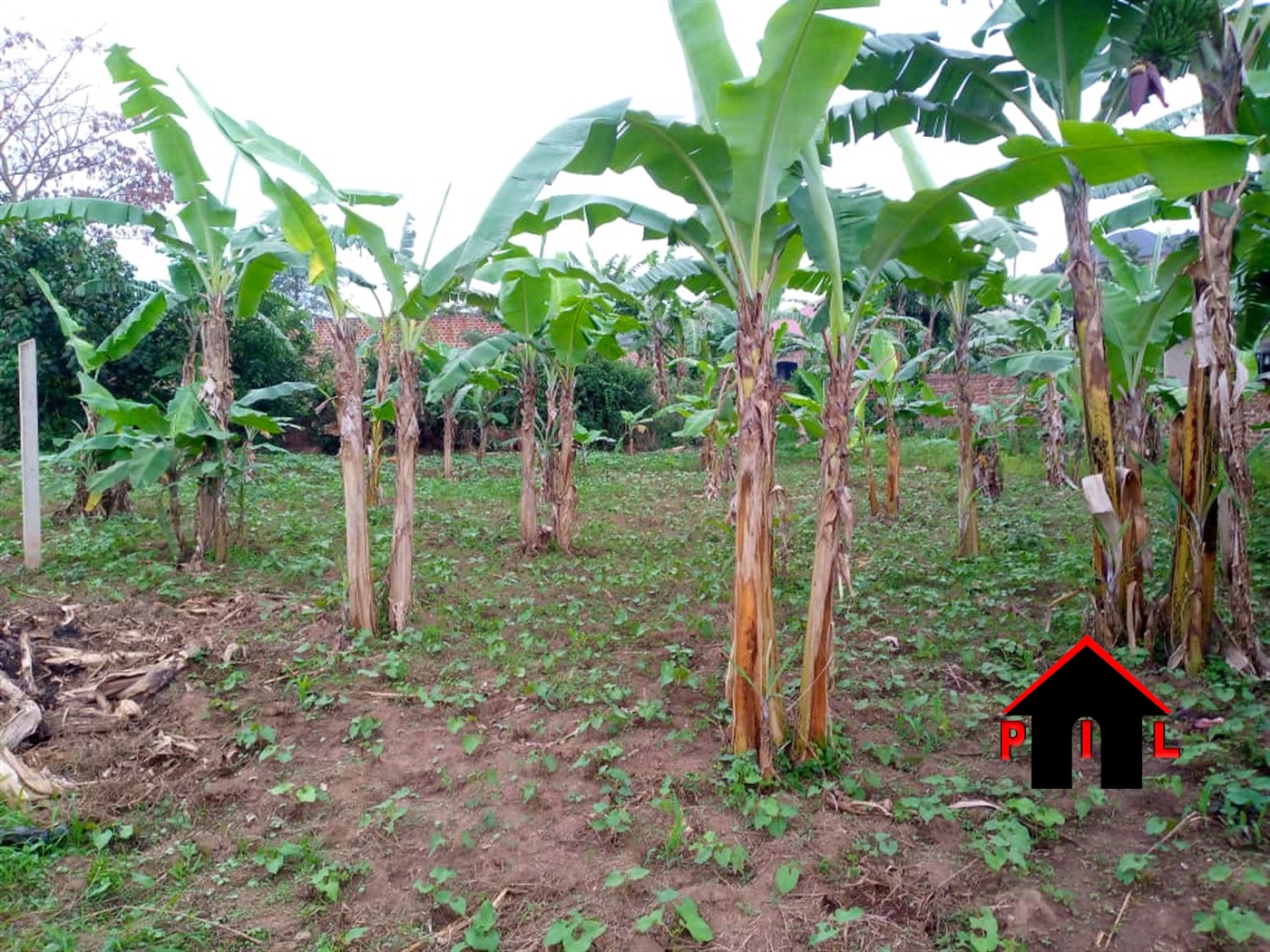 Residential Land for sale in Namugongo Wakiso