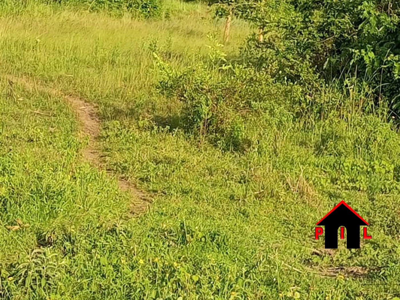 Agricultural Land for sale in Ndeeba Luweero