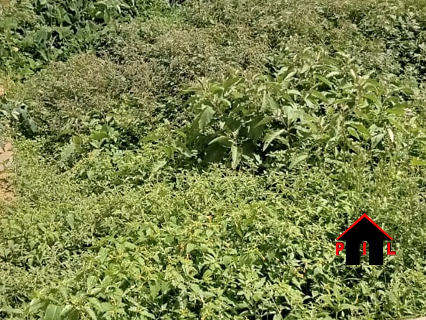 Residential Land for sale in Kyaliwajjala Wakiso