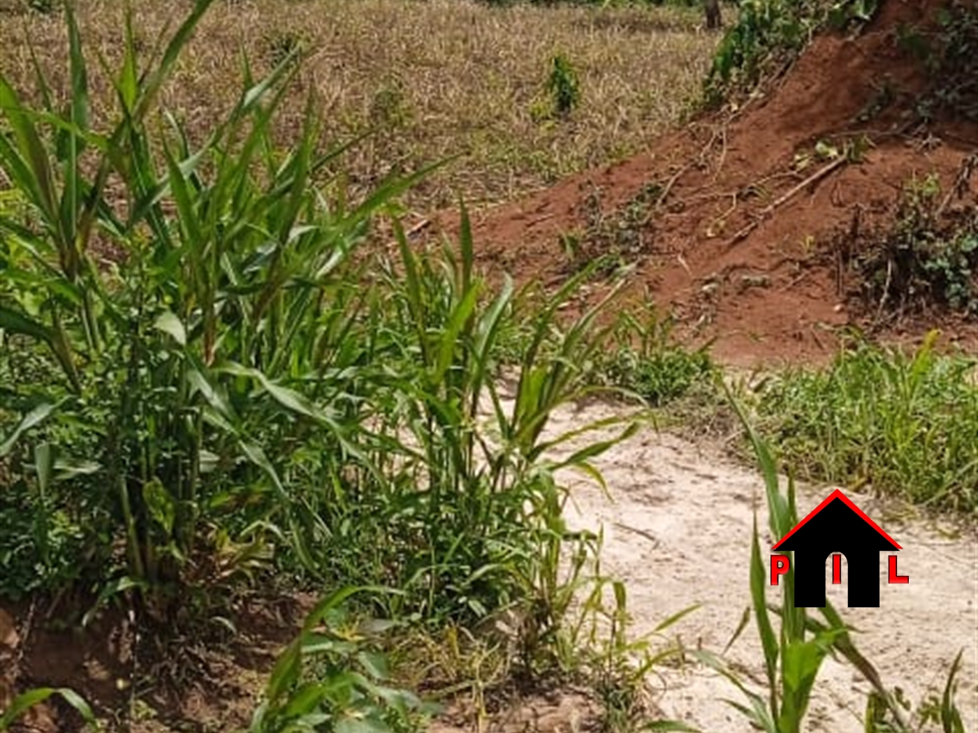 Commercial Land for sale in Kiwenda Wakiso