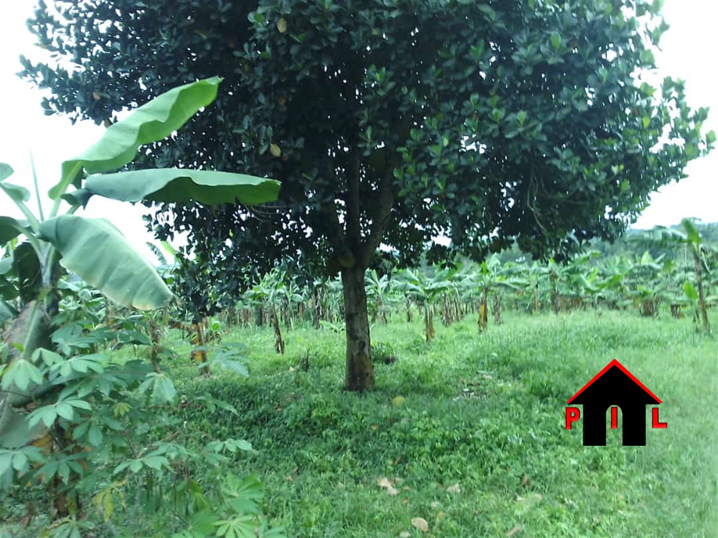 Commercial Land for sale in Kiteezi Wakiso