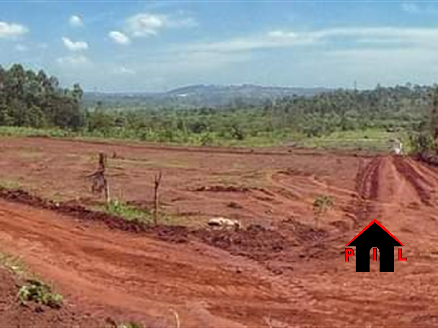 Agricultural Land for sale in Bukolooto Kayunga