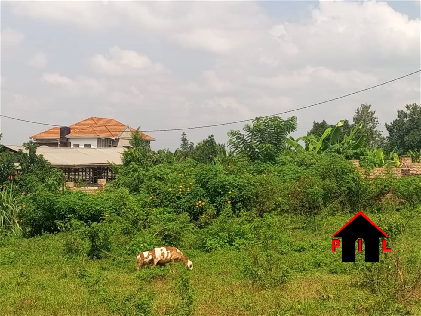 Commercial Land for sale in Namugongo Wakiso