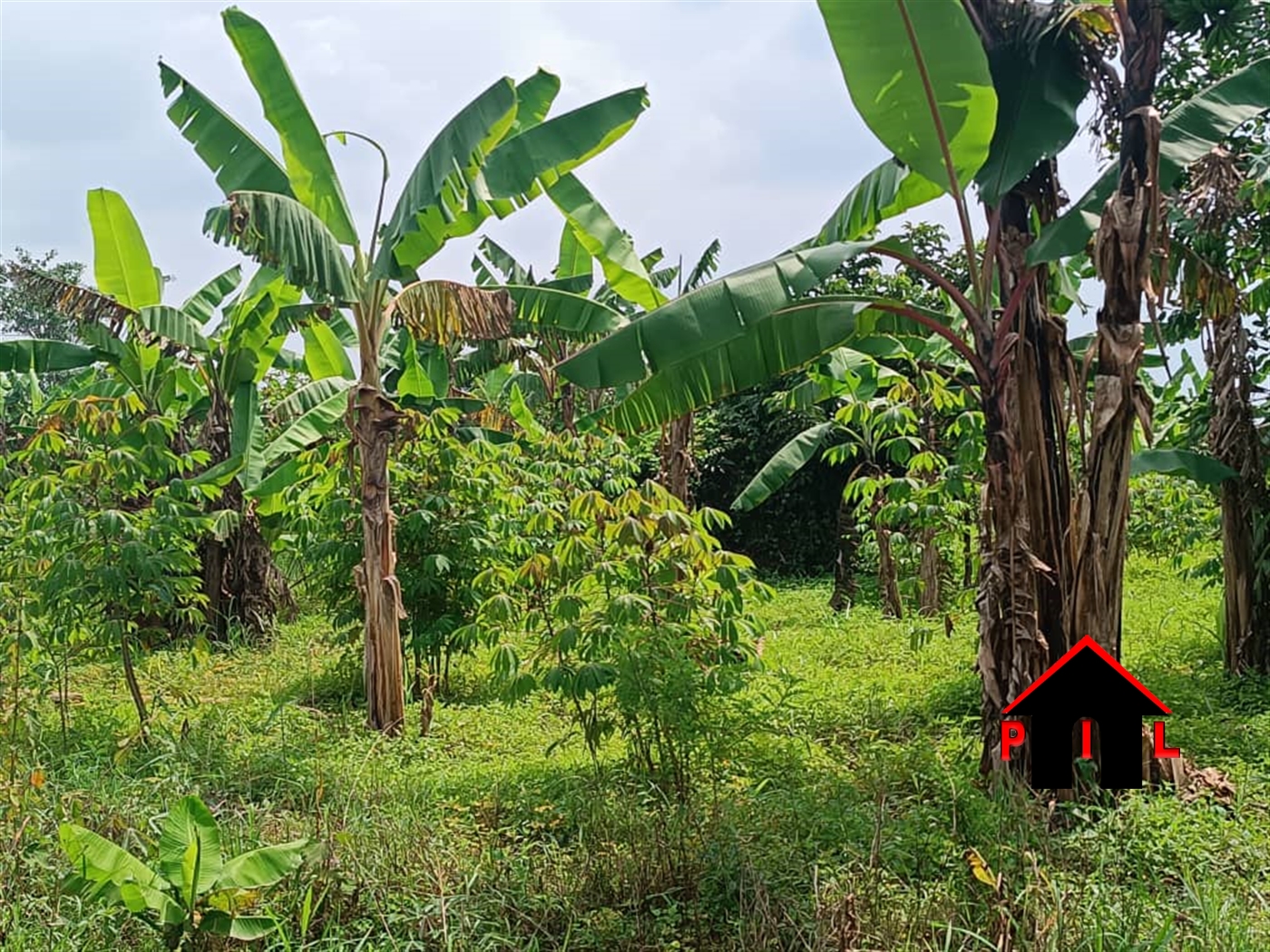 Residential Land for sale in Kira Wakiso