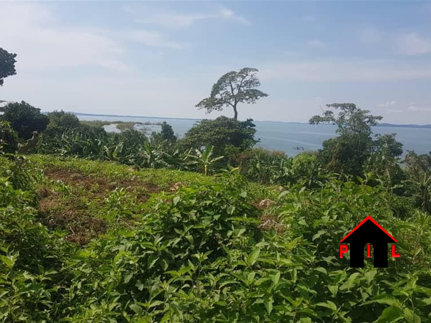 Commercial Land for sale in Ssesse Kalangala