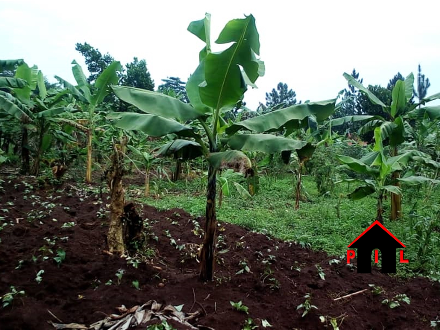 Residential Land for sale in Kiwenda Wakiso