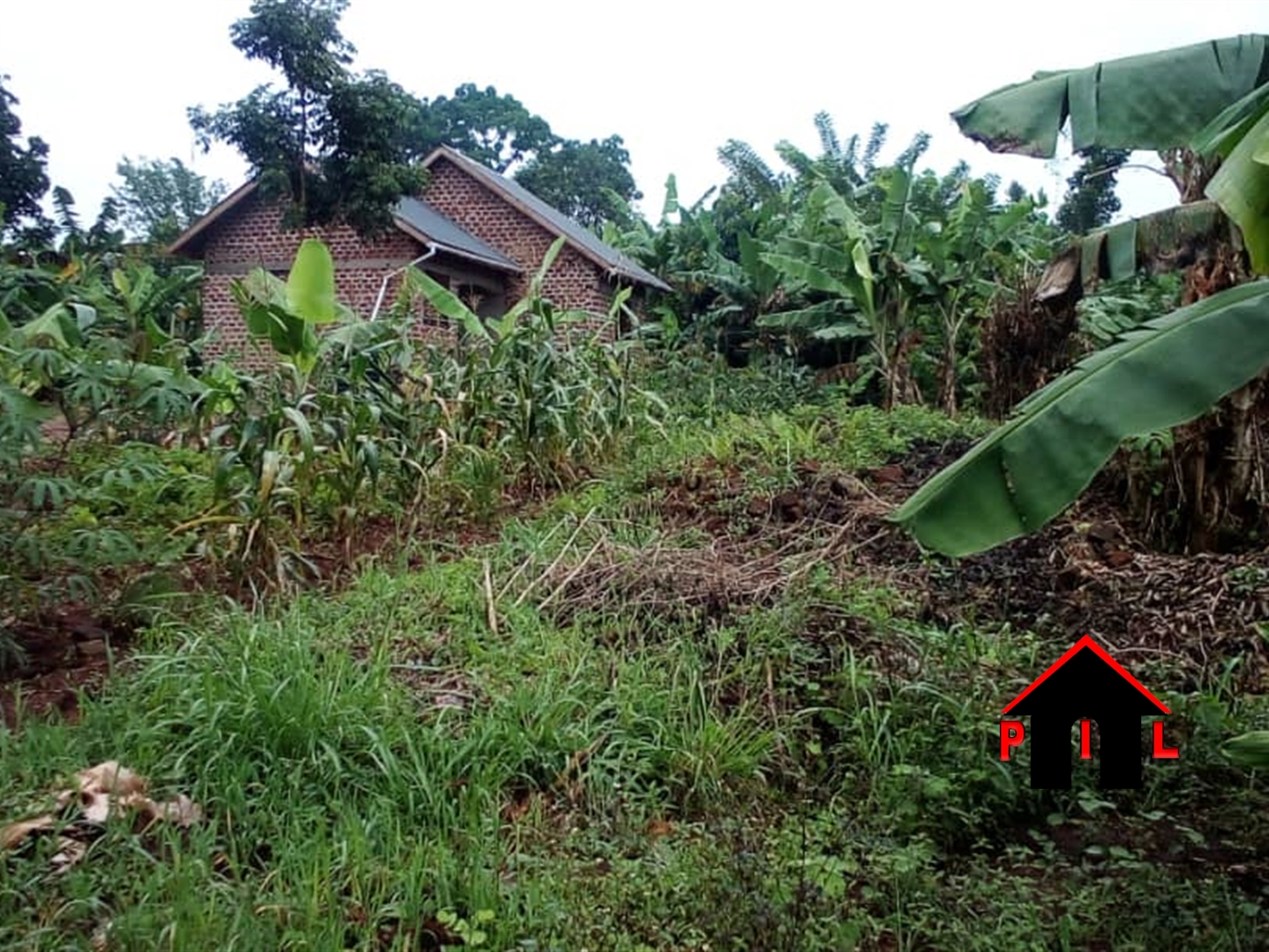 Residential Land for sale in Kiwenda Wakiso