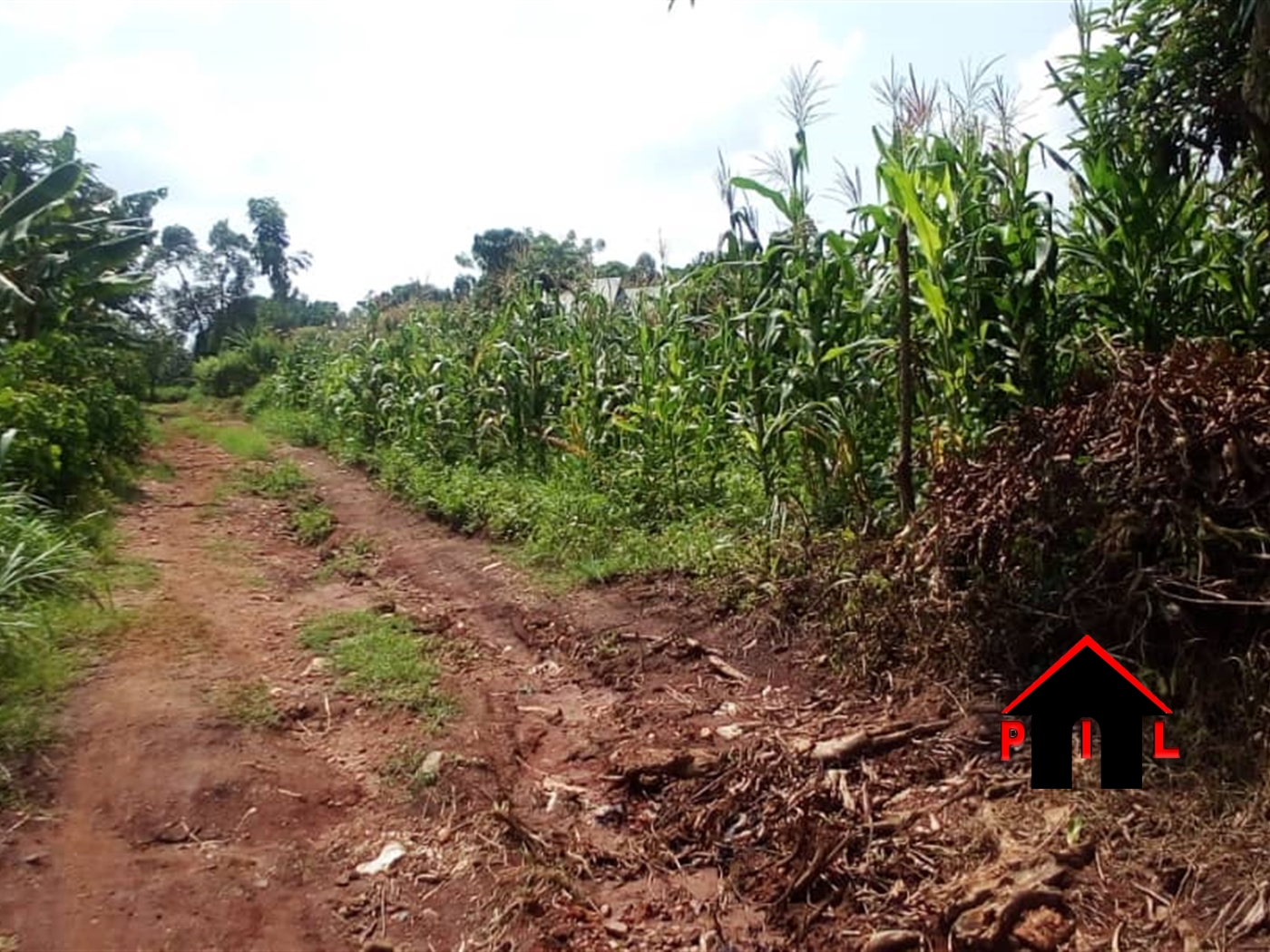 Residential Land for sale in Kiwenda Wakiso